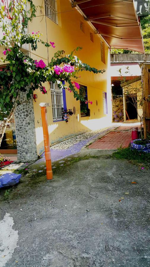 Lushan Xiangting Tea Homestay 仁愛郷 エクステリア 写真